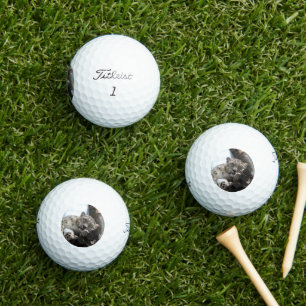 Pelotas De Golf Leopard 002