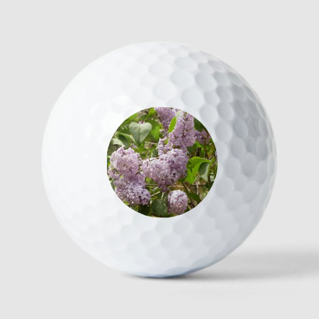 Pelotas De Golf Lilac Bush hermosas flores de primavera morada (Anverso)
