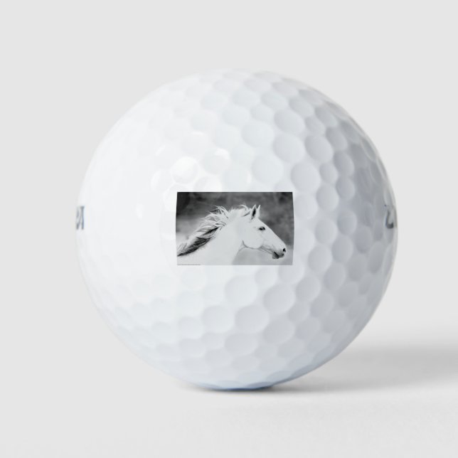Pelotas De Golf LIN26BW Mane in the Wind.tif (Anverso)