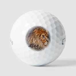 Pelotas De Golf Lion