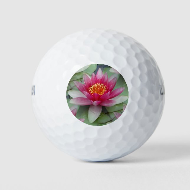 Pelotas De Golf Lirio de agua de Lotus rosa (Anverso)