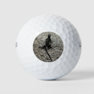 Pelotas De Golf Lizard negro