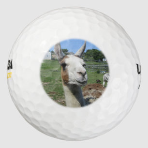 Pelotas De Golf Llama