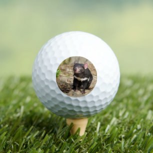 Pelotas De Golf Luz del Desierto – Diablo de Tasmania