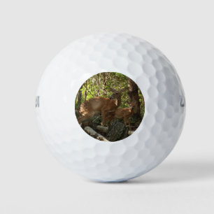 Pelotas De Golf Madre y ciervo bebé en el Parque Nacional Shenando