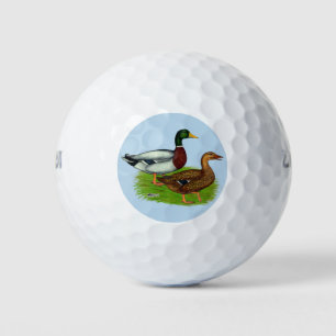 Pelotas De Golf Mallard Drake y Duck