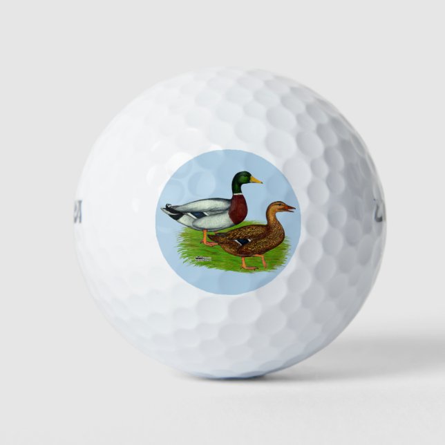 Pelotas De Golf Mallard Drake y Duck (Anverso)