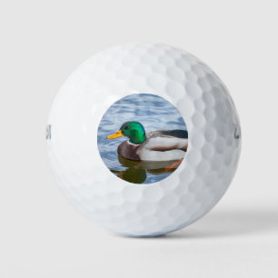 Pelotas De Golf Mallard Duck