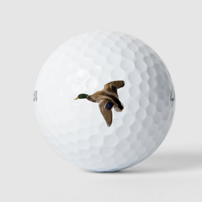 Pelotas De Golf Mallard Duck Flying Nature Bird Greenhead Malé (Anverso)