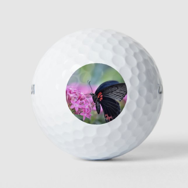 Pelotas De Golf Mariposa en flor (Anverso)