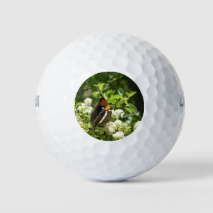 Pelotas De Golf Mariposa Hermana de California en Yosemite
