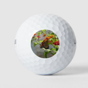 Pelotas De Golf Mariposa monarca en mariposa roja Bush