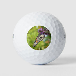 Pelotas De Golf Mariposa monarca sobre mariposa morada Bush