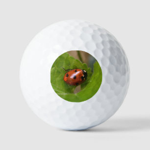 Pelotas De Golf Mariquita en flores de violeta dulce