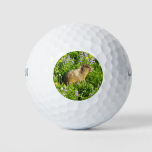 Pelotas De Golf Marmot en Mont Rainier Wildflowers
