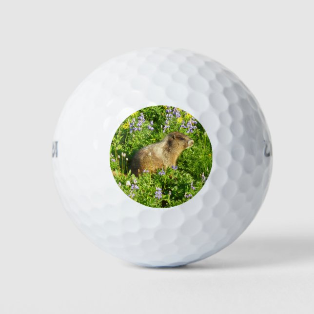 Pelotas De Golf Marmot en Mont Rainier Wildflowers (Anverso)
