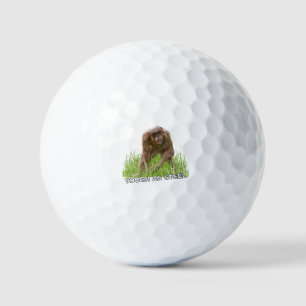 Pelotas De Golf Masa De Chimpancé Sin Cabello Como Acero