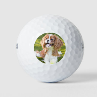 Pelotas De Golf Mascota Personalizada Agrega Tu Foto