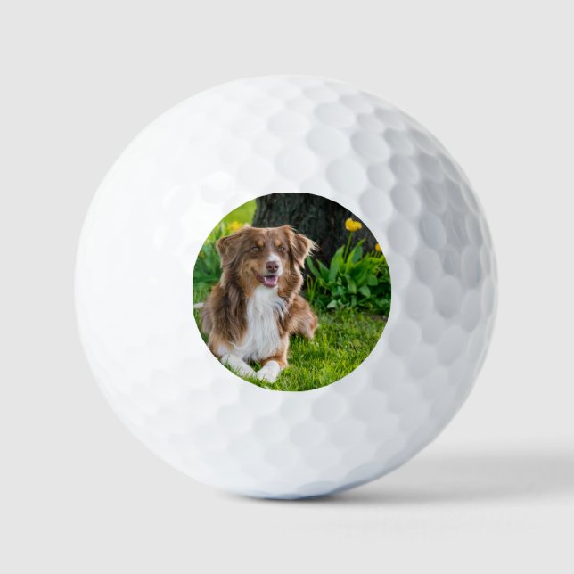 Pelotas De Golf Mascota personalizado de fotografía personalizado (Anverso)