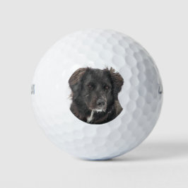 Pelotas De Golf Mascota personalizado Foto