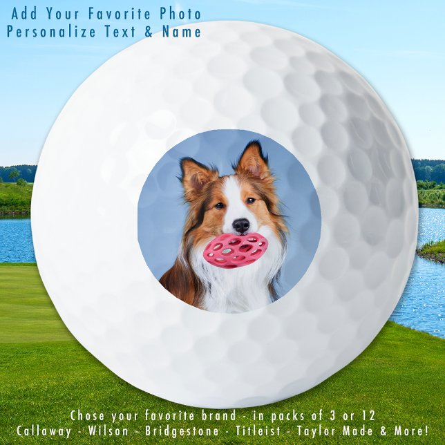 Pelotas De Golf Mascota personalizado Foto de perro simple persona (Subido por el creador)