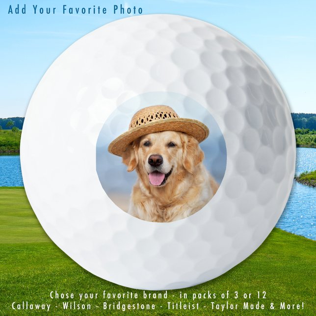 Pelotas De Golf Mascota personalizado Foto de perro simple persona (Subido por el creador)