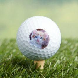 Pelotas De Golf Mascota personalizado foto moderna de gato