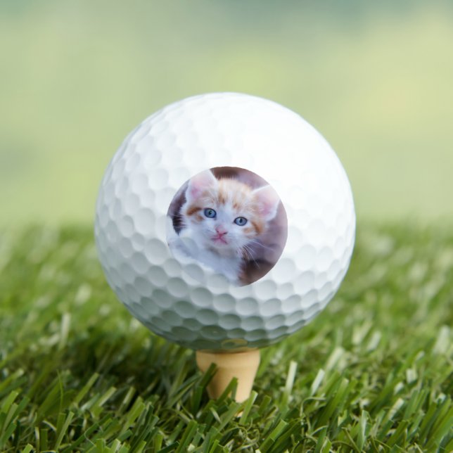 Pelotas De Golf Mascota personalizado foto moderna de gato (Camiseta in situ)