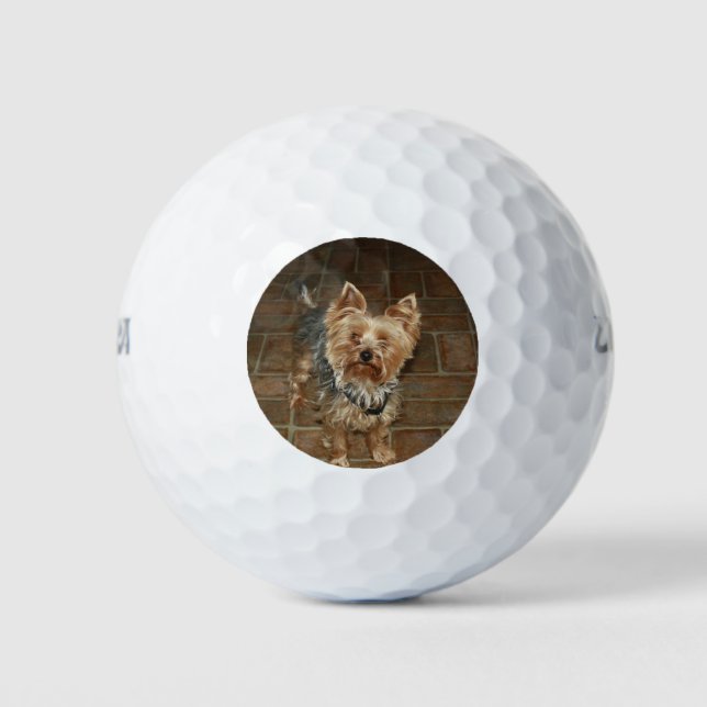 Pelotas De Golf Mascota personalizado o foto familiar (Anverso)
