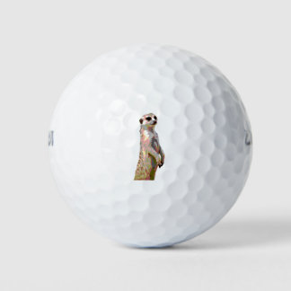 Pelotas De Golf Meerkat - Estilo de arte pop y posterizado