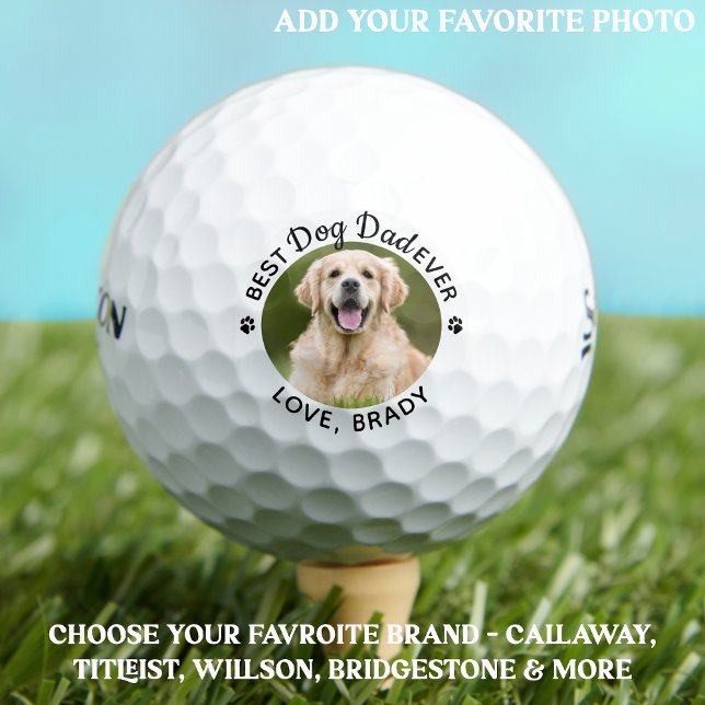 Pelotas De Golf Mejor foto de Mascota moderno personalizada de DOG (Subido por el creador)