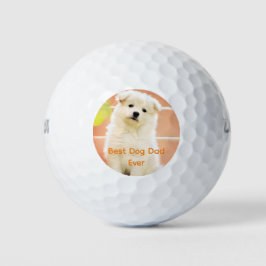 Pelotas De Golf Mejor Mascota de fotografía de papá perro divertid
