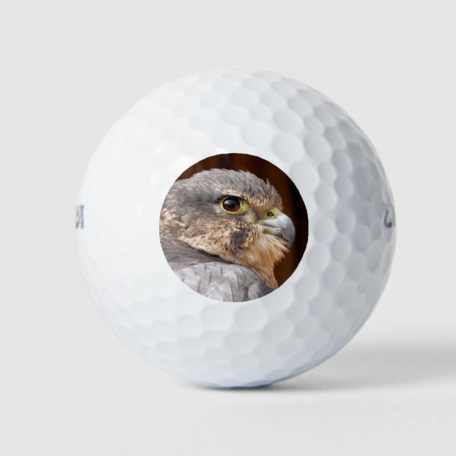 PELOTAS DE GOLF MERLIN FALCON BIRD DE PRESA (Anverso)
