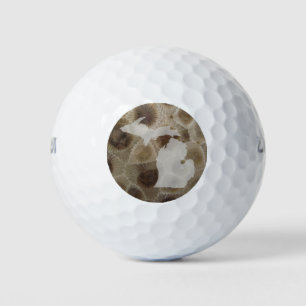 Pelotas De Golf Michigan Petoskey Stone