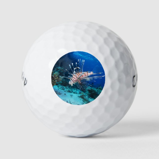 Pelotas De Golf Millas de Lionfish o Pterois, peces de arrecifes o (Anverso)