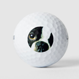 Pelotas De Golf moderno y grande Boston Terrier
