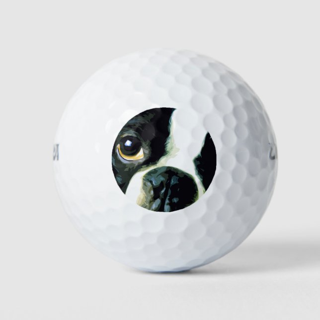 Pelotas De Golf moderno y grande Boston Terrier (Anverso)