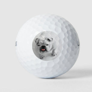 Pelotas De Golf Moderno y simple marcador de foto de perro