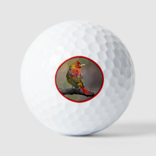 Pelotas De Golf Moldura de Tanager de escarlata - Fotografía origi