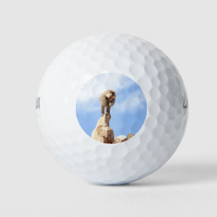 Pelotas De Golf Mono babuino en la cima de una montaña