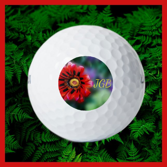 Pelotas De Golf Monogramado Vivid Red Flower Gazania Floral (Subido por el creador)