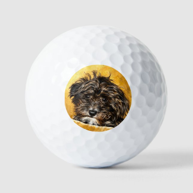 Pelotas De Golf Monturas de Schnoodle (Anverso)