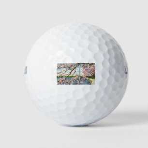 Pelotas De Golf Monumento a Washington PAU45 2.tif