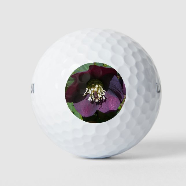Pelotas De Golf Morado Rosa de Cuaresma, flor de Pascua (Anverso)