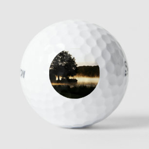 Pelotas De Golf Morning Lake Scene ssf gbcna