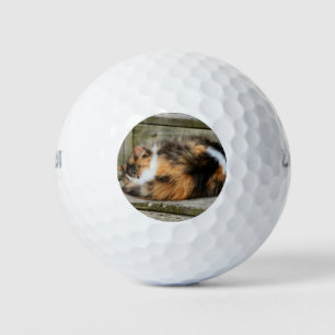 Pelotas De Golf Naptime