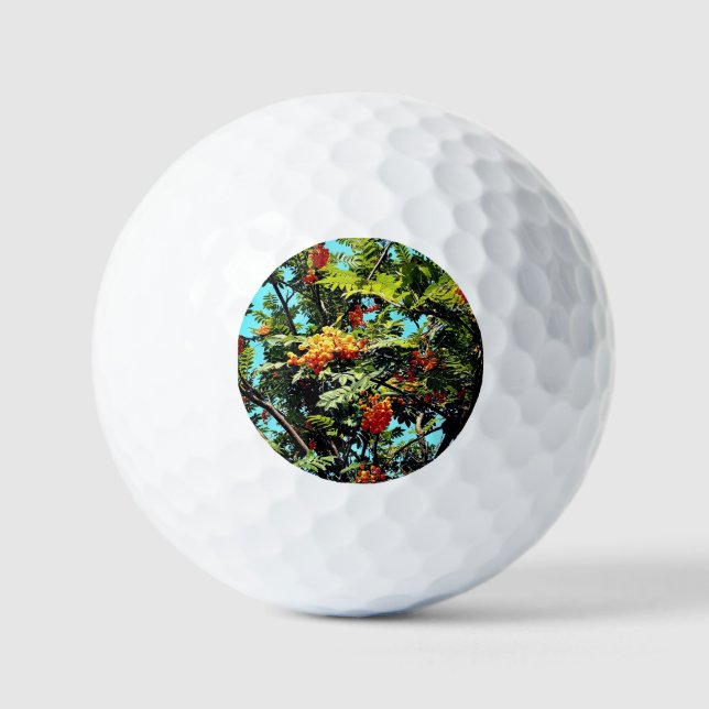 Pelotas De Golf Naranja berries (Anverso)
