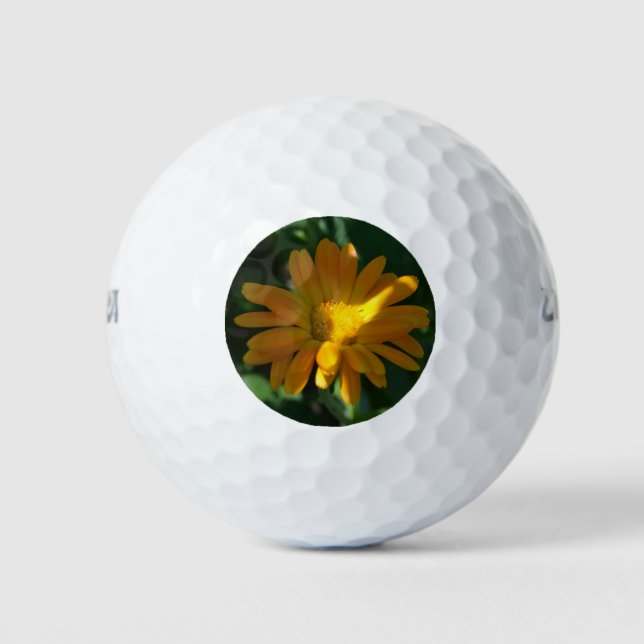 Pelotas De Golf Naranja Pot Marigold Flor (Calendula officinalis) (Anverso)