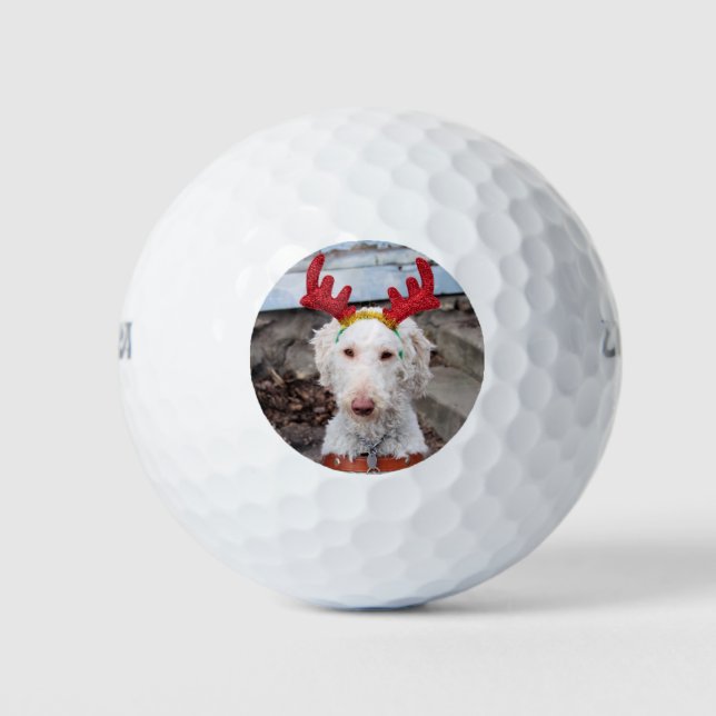 Pelotas De Golf Navidades Ollie (Anverso)