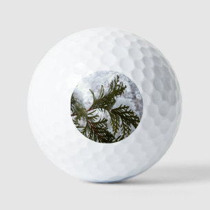 Pelotas De Golf Nieve en ramas verdes